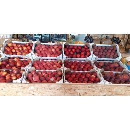 peches-et-nectarines