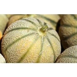 melon