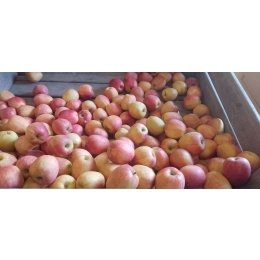pommes-aquita