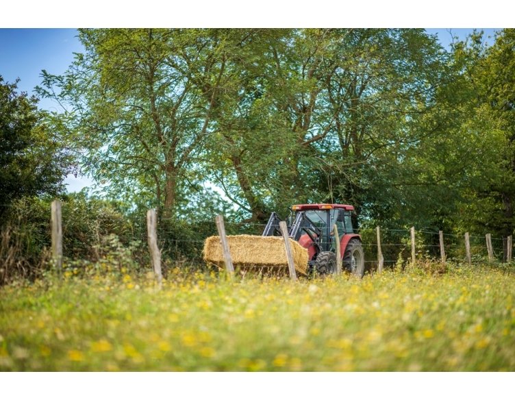 Photo de Ferme Jean de Houticq