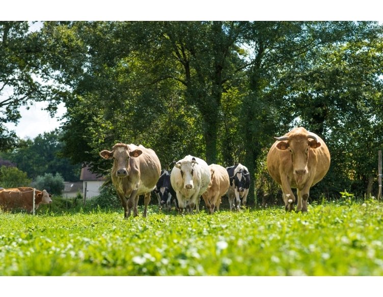 Photo de Ferme Jean de Houticq