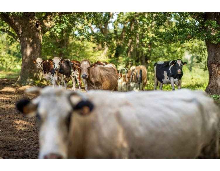 Photo de Ferme Jean de Houticq